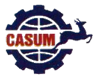 Casum
